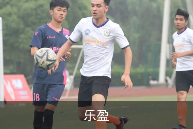 关于乐盈展示图